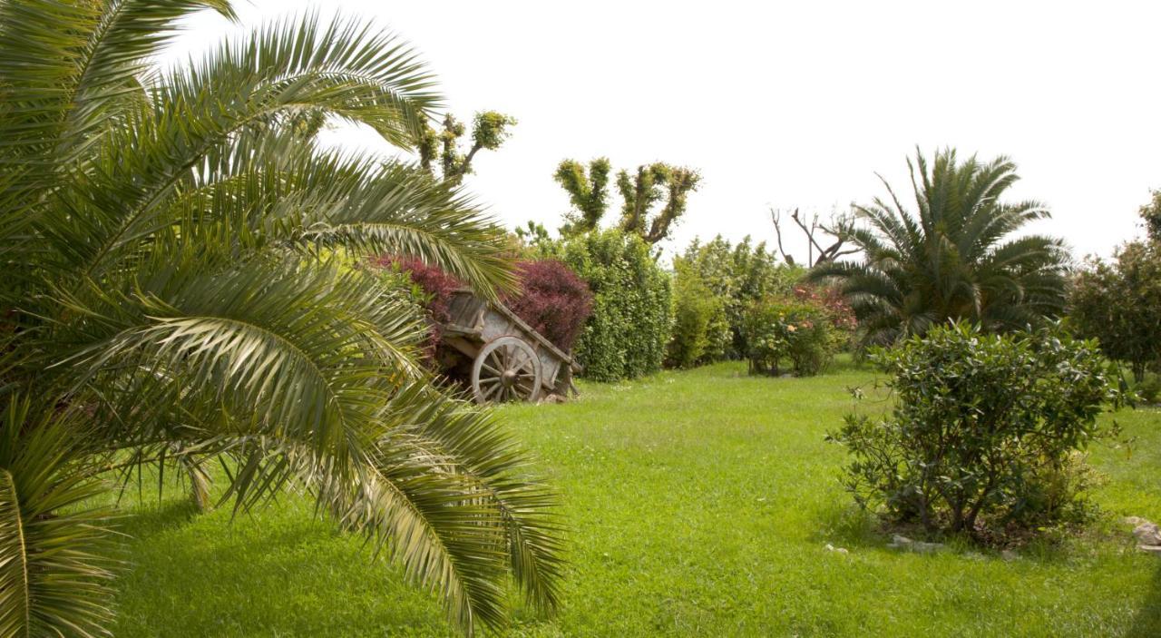 Il Girasole Country House Camerano Esterno foto