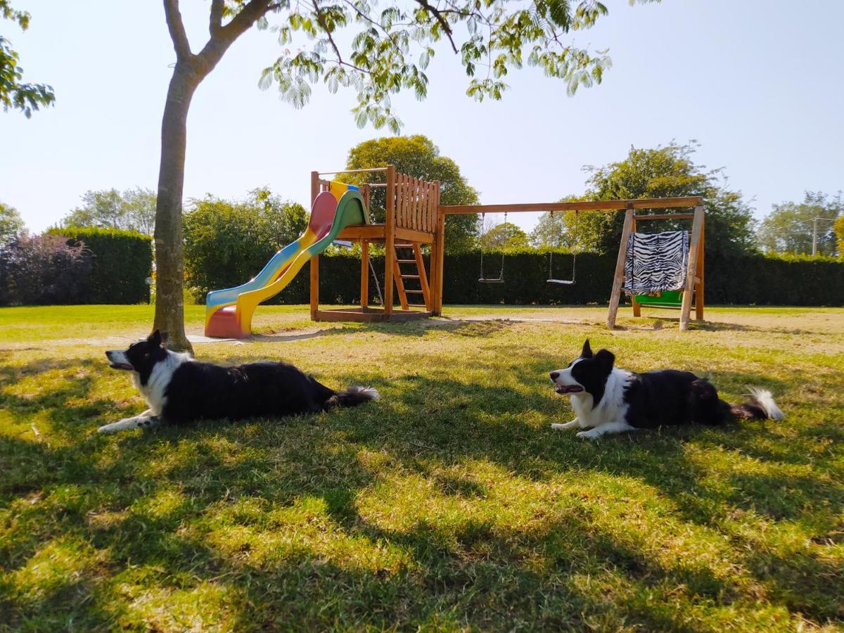 Il Girasole Country House Camerano Esterno foto