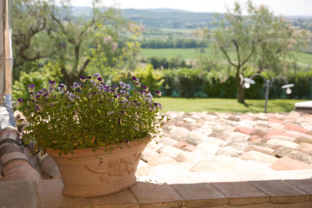 Il Girasole Country House Camerano Esterno foto